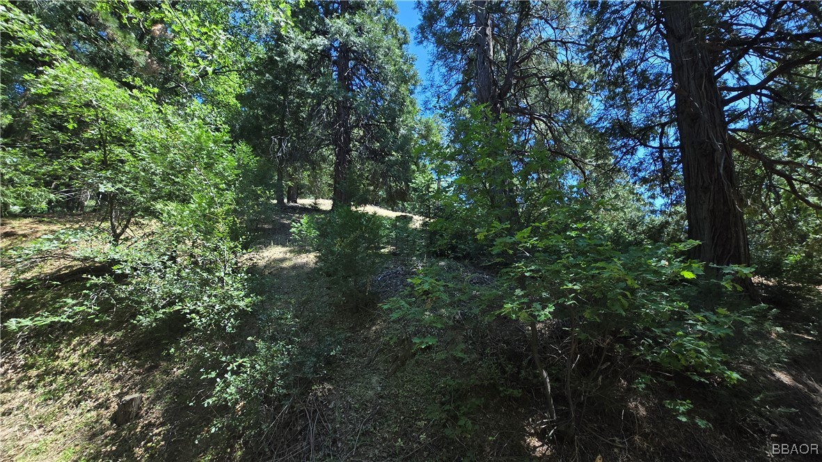 22494 Mojave River Road Property Photo 1