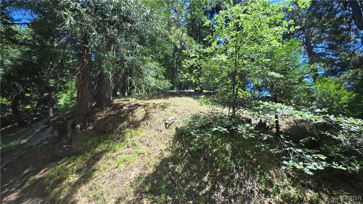 22494 Mojave River Road Property Photo 3