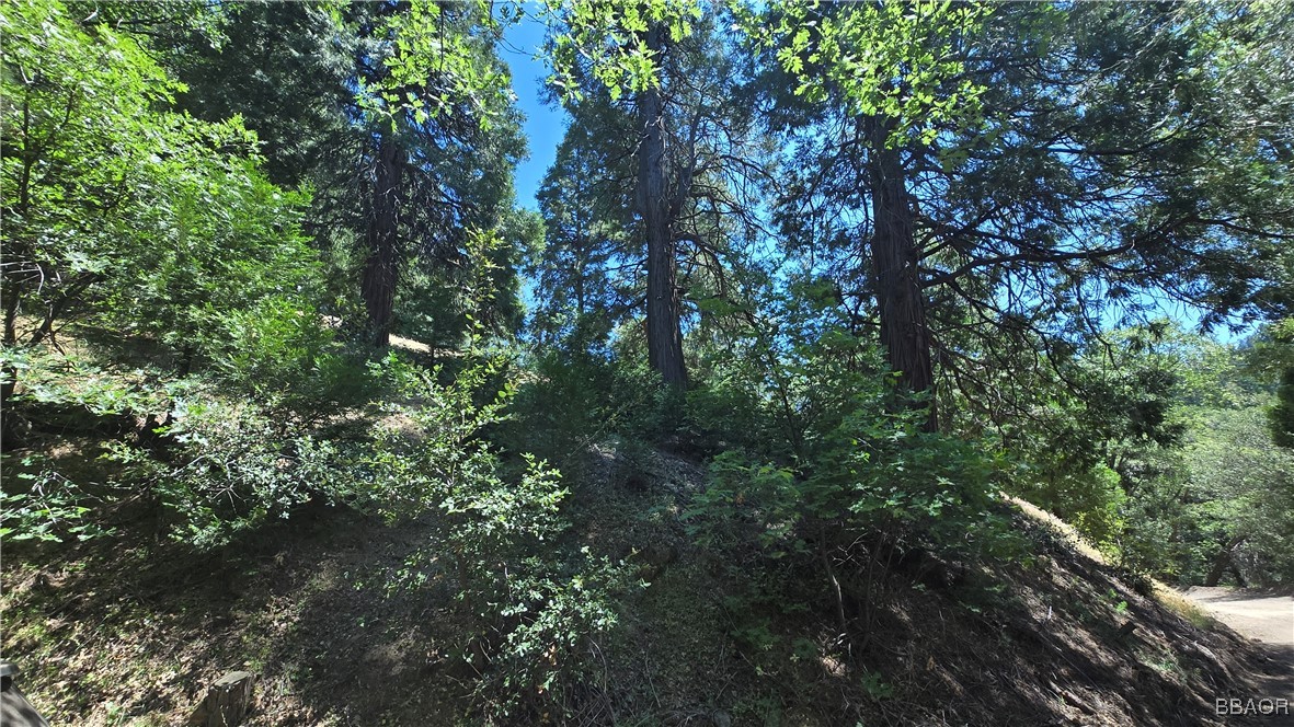 22494 Mojave River Road Property Photo 6