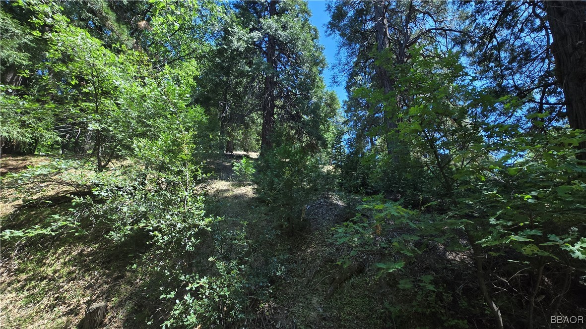 22494 Mojave River Road Property Photo 7