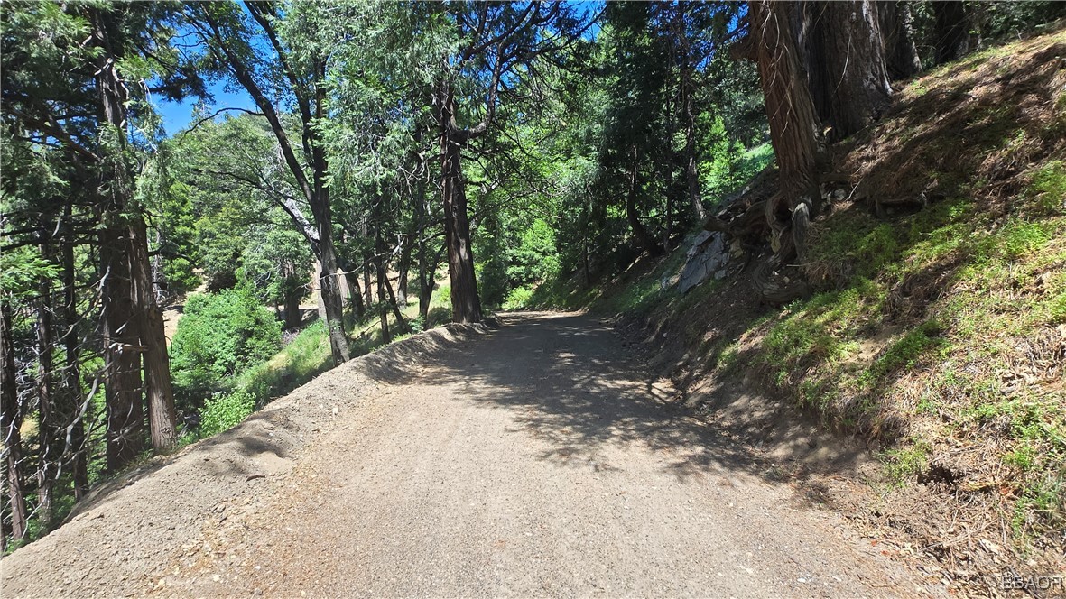 22494 Mojave River Road Property Photo 8