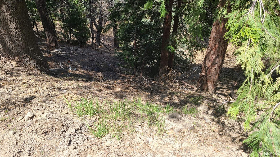 29186 Arrowhead Drive Property Photo 1