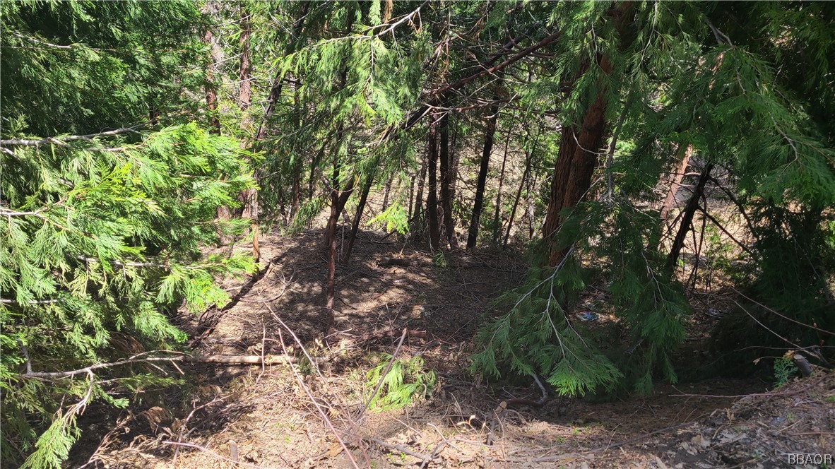 29186 Arrowhead Drive Property Photo 4