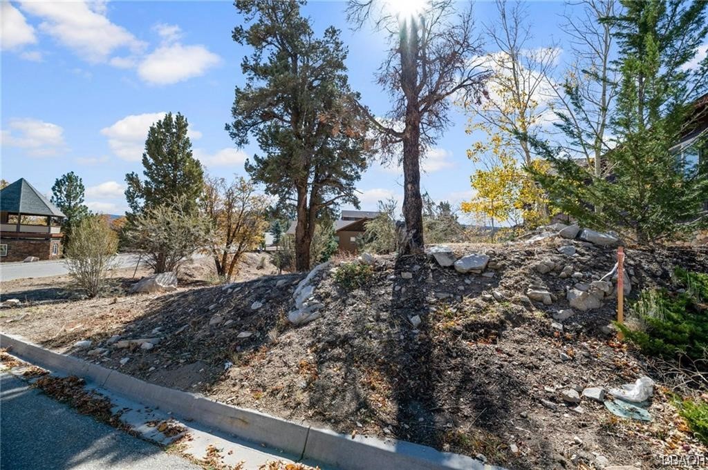 42565 Pegasus Way Property Photo 6