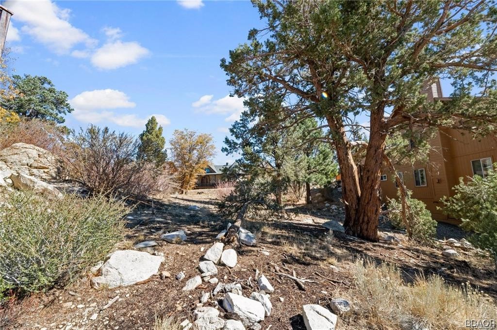 42565 Pegasus Way Property Photo 8
