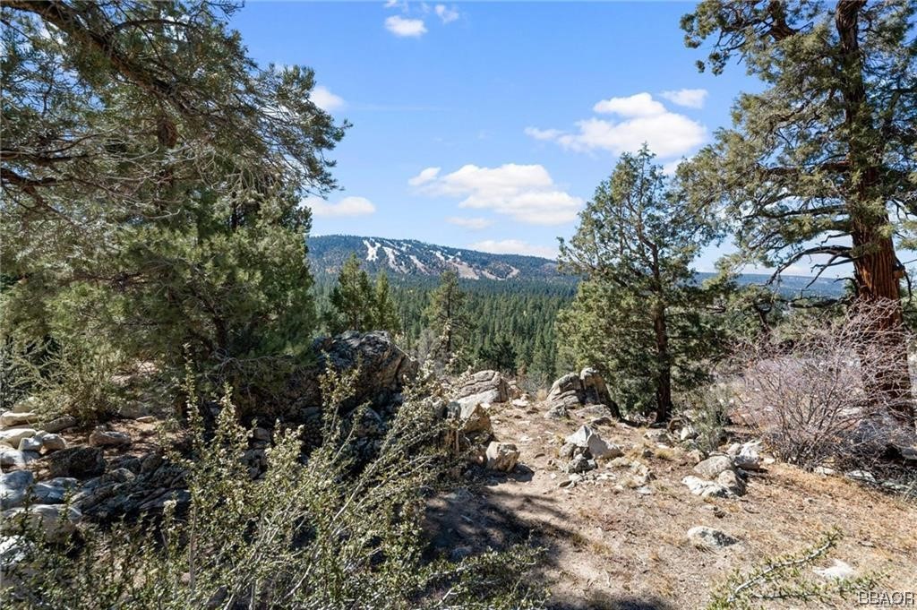 42565 Pegasus Way Property Photo 9