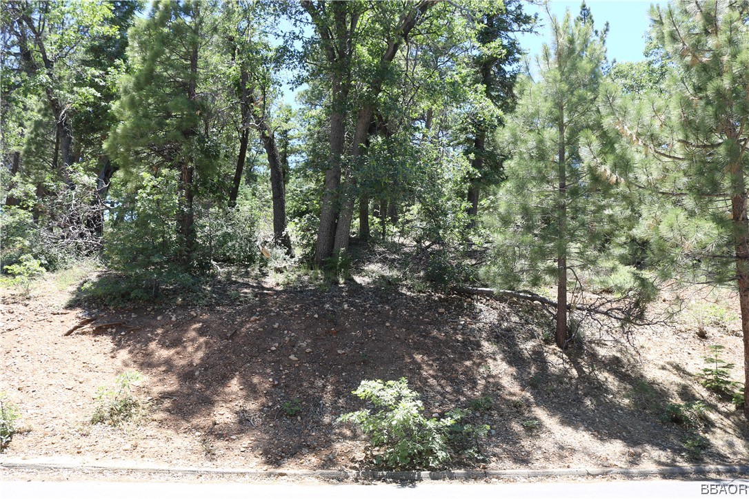 1375 La Crescenta Drive Property Photo 2