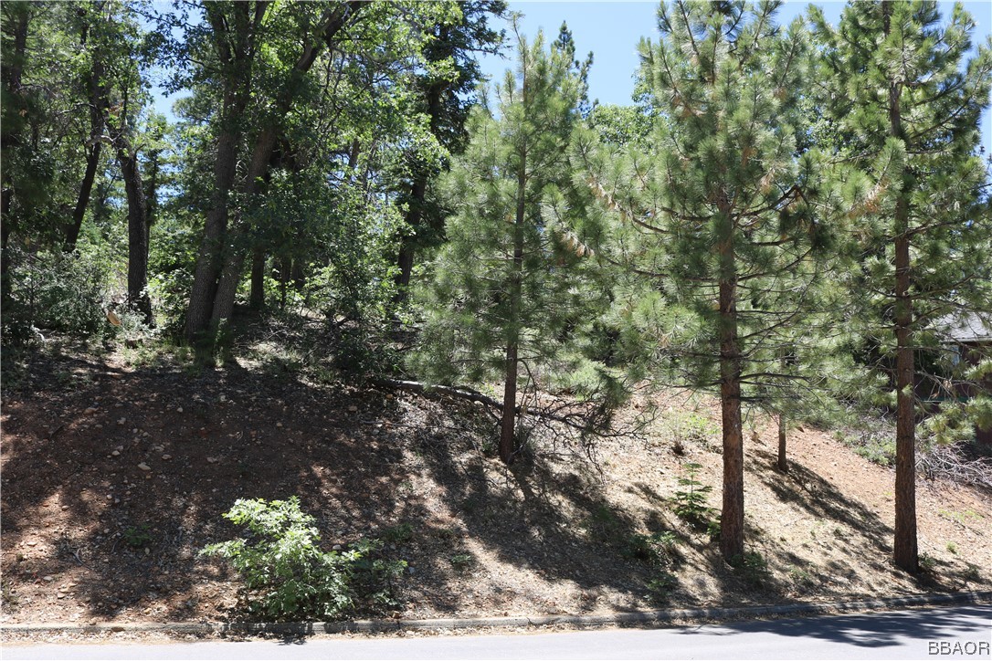1375 La Crescenta Drive Property Photo 3
