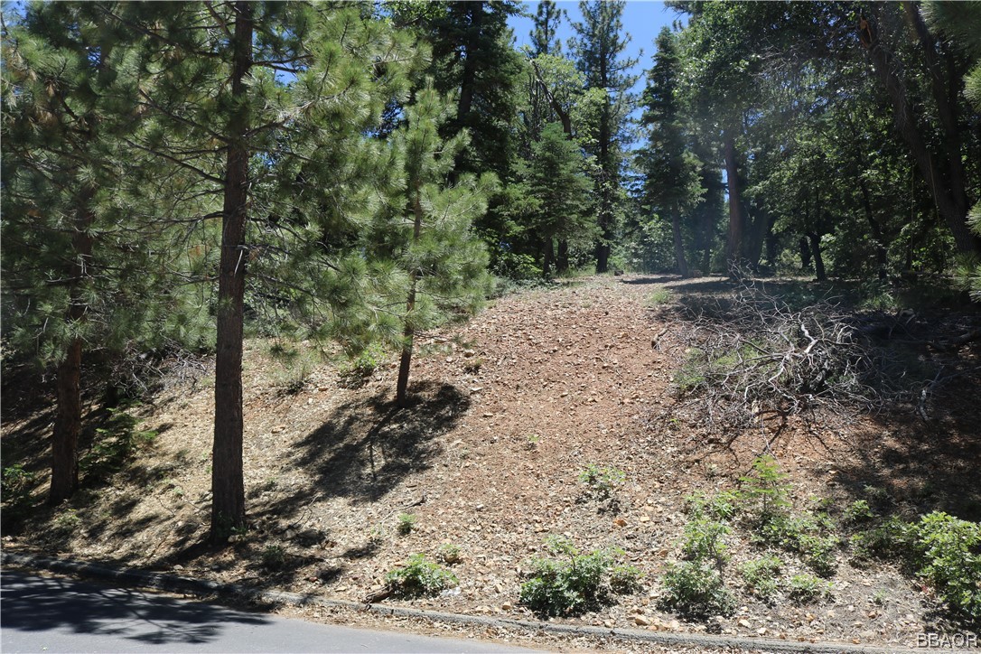 1375 La Crescenta Drive Property Photo 4