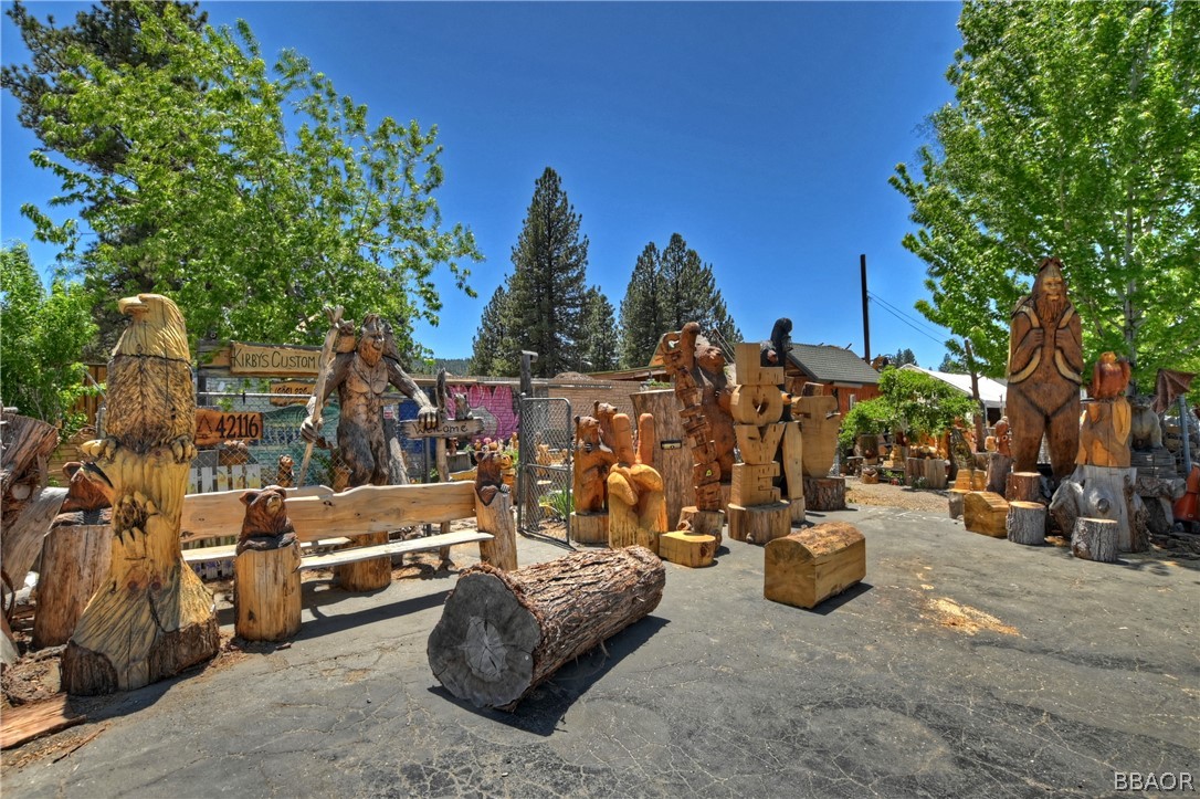 42116 Big Bear Boulevard Property Photo 3