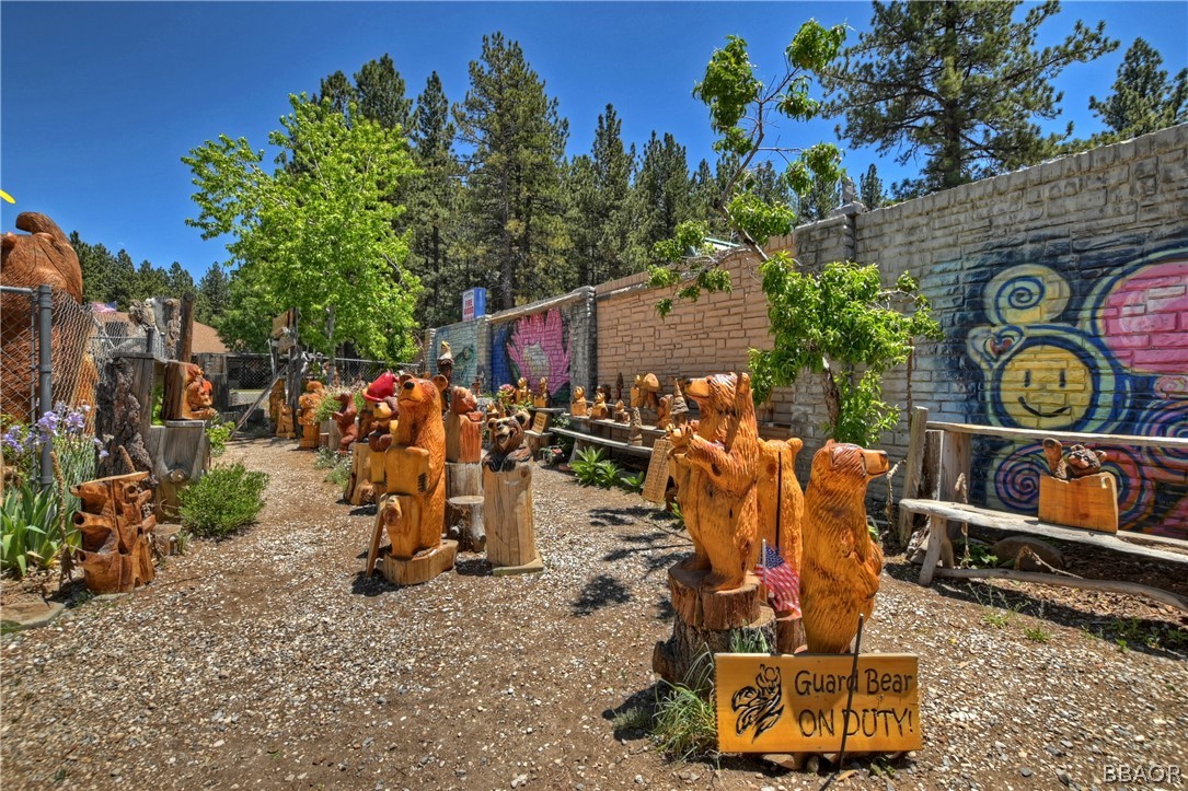 42116 Big Bear Boulevard Property Photo 8