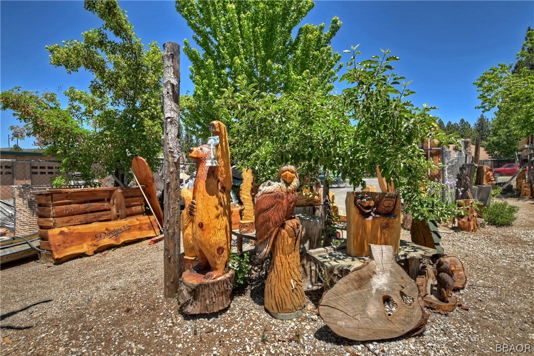 42116 Big Bear Boulevard Property Photo 10
