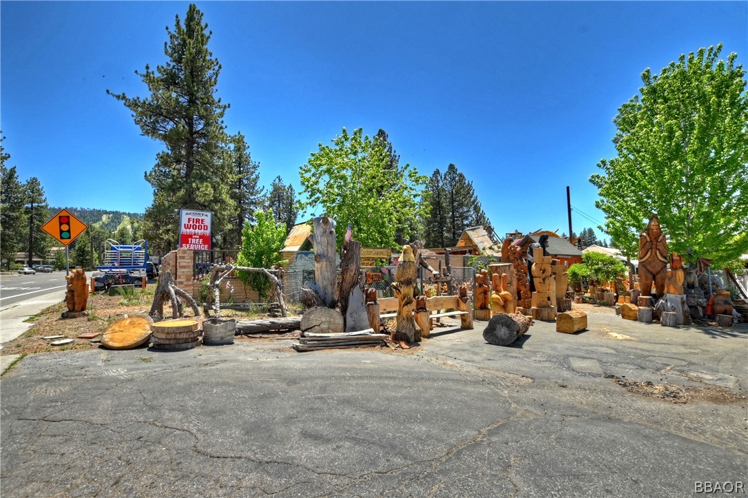 42116 Big Bear Boulevard Property Photo 20