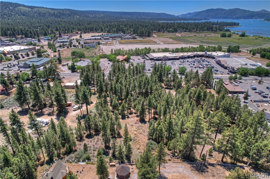 42165 Big Bear Boulevard Property Photo 10