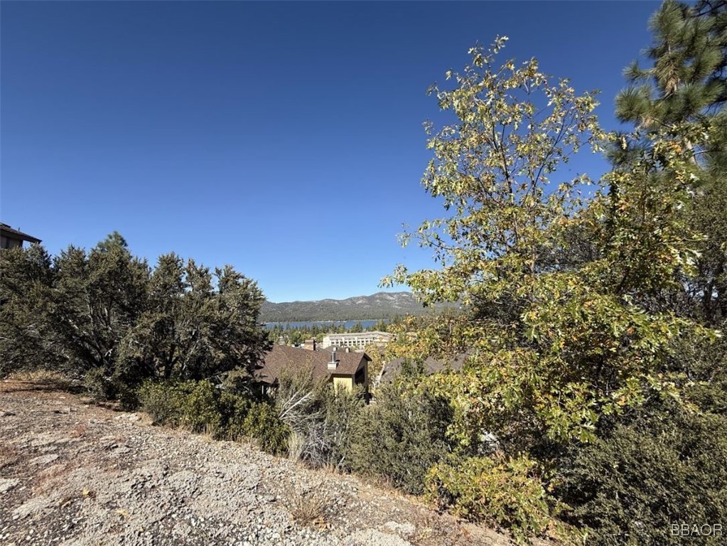 0 Ironwood Drive Property Photo 3