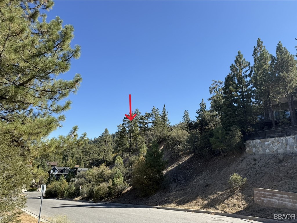 0 Ironwood Drive Property Photo 8