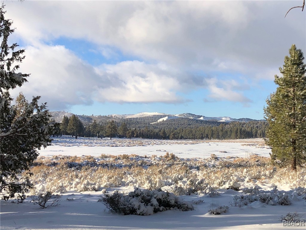 34300 Holcomb Valley Road 1 Property Photo 18