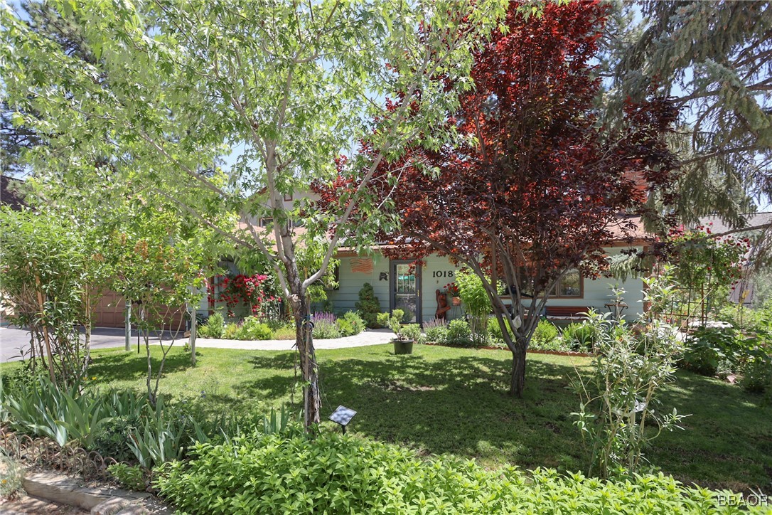 1018 Feather Mountain Drive Property Photo 2