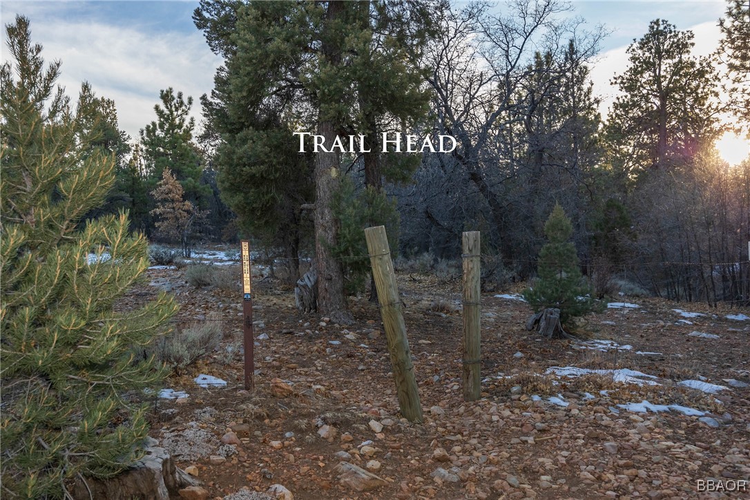 882 Pine Lane Property Photo 6