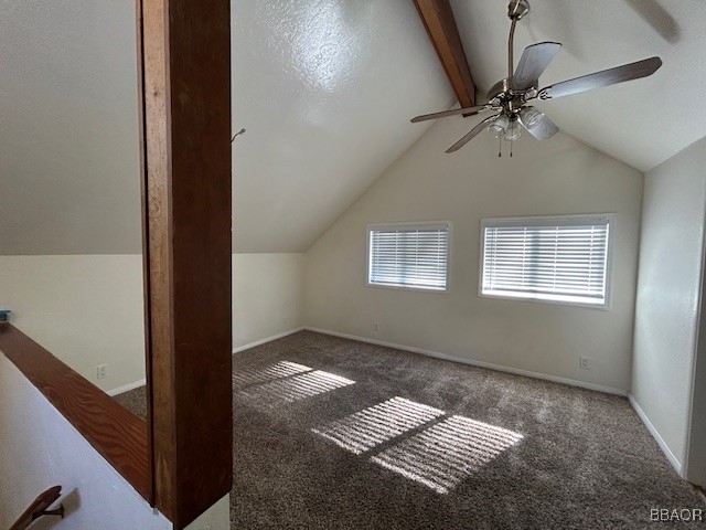 42769 La Cerena Avenue Property Photo 13