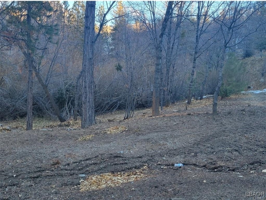 0 North State Hwy 173 Highway Property Photo 2