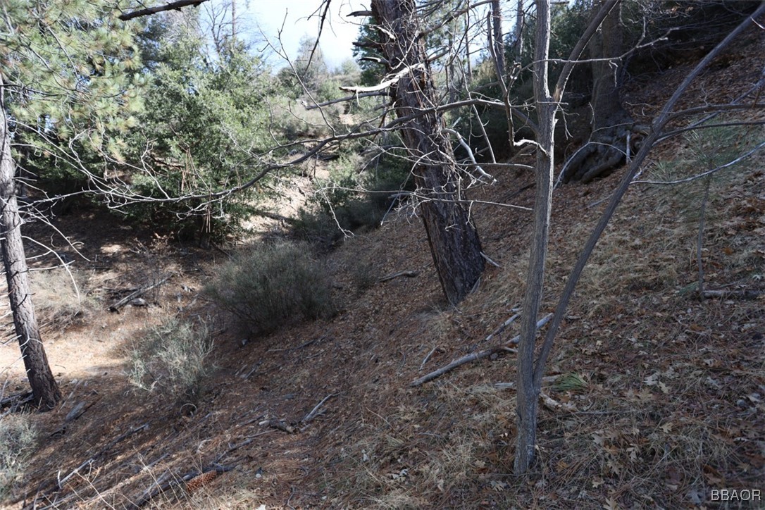 721 Acacia Road Property Photo 5