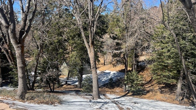 736 Dahlia Drive Property Photo 3