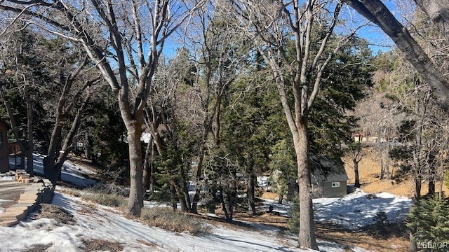 736 Dahlia Drive Property Photo 5