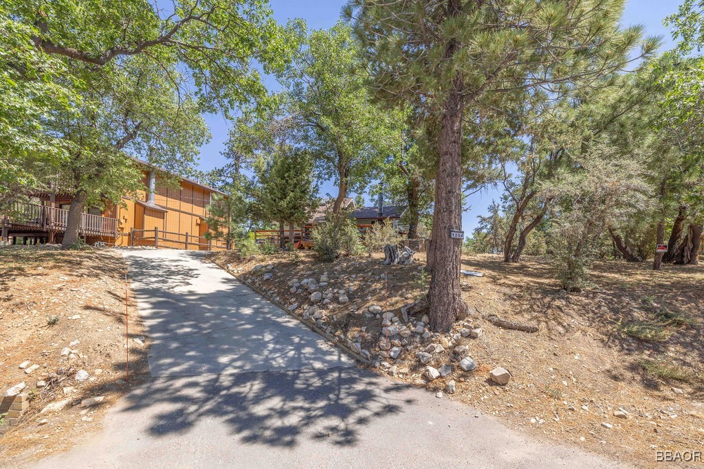 1254 South Sheephorn Road Property Photo 44