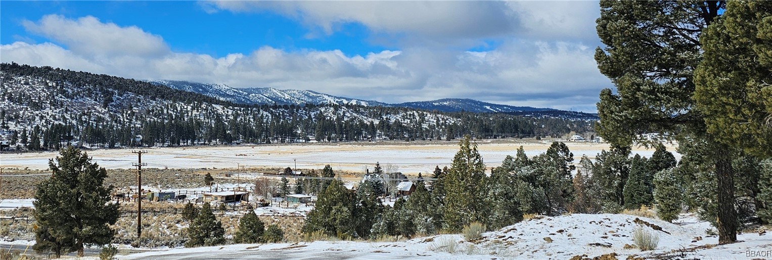 0 Ponderosa Ranch Road Property Photo 1