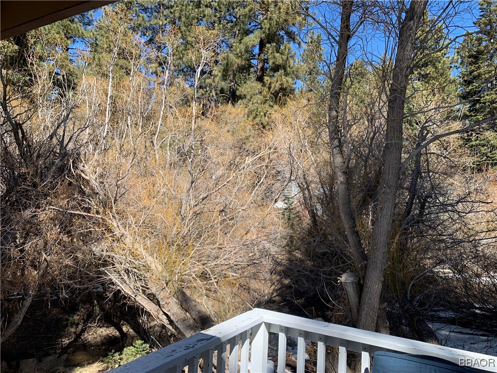 33492 Wild Rose Drive Property Photo 36