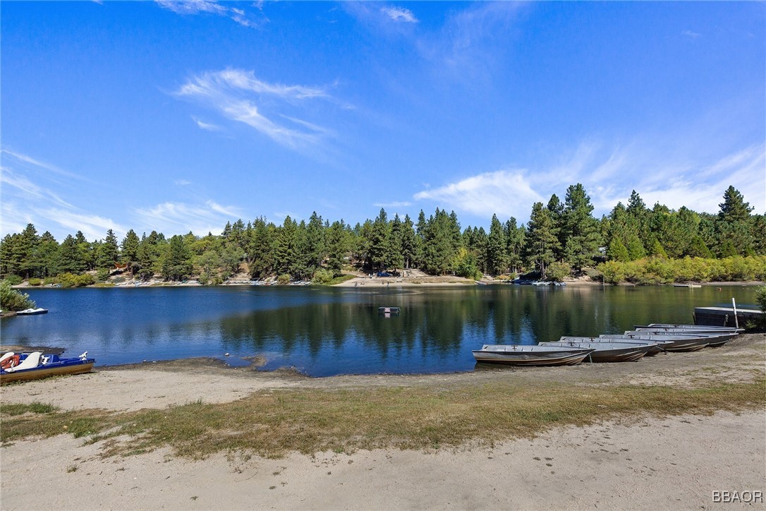 33492 Wild Rose Drive Property Photo 46