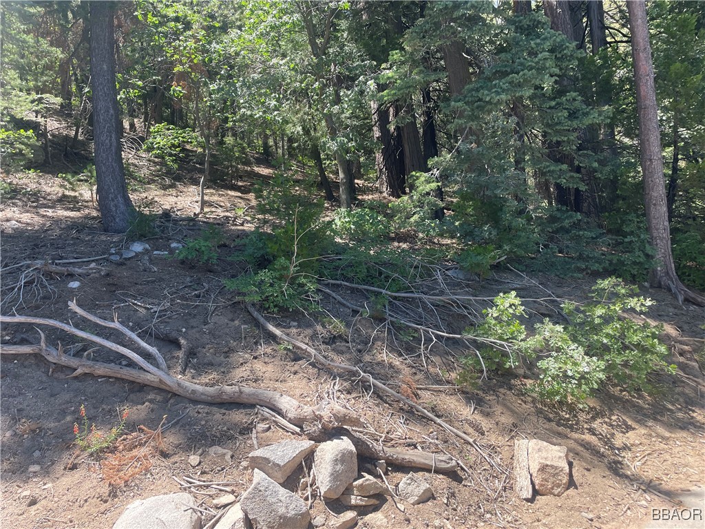 000 Strawberry Peak Road Property Photo