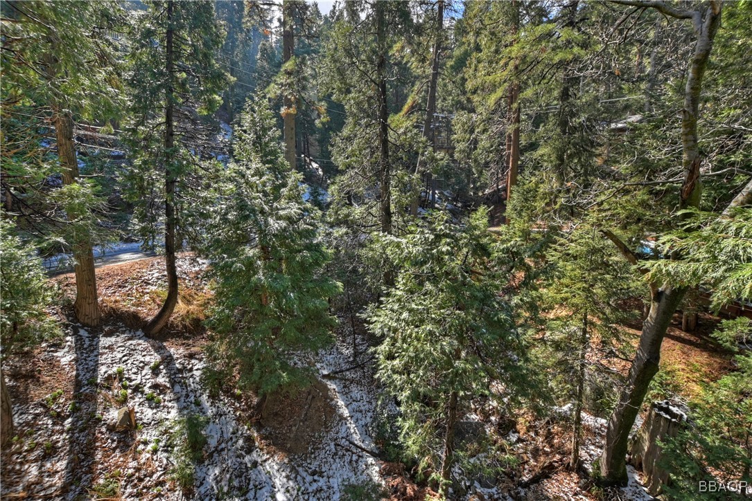 1019 Jungfrau Drive Property Photo 49