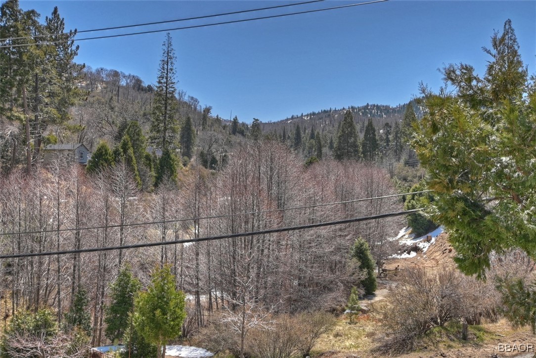 29632 Hook Creek Road Property Photo 35