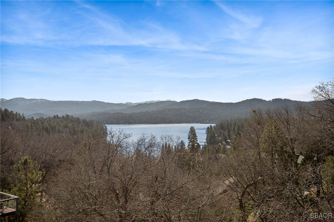 27431 Alpen Drive Property Photo 20