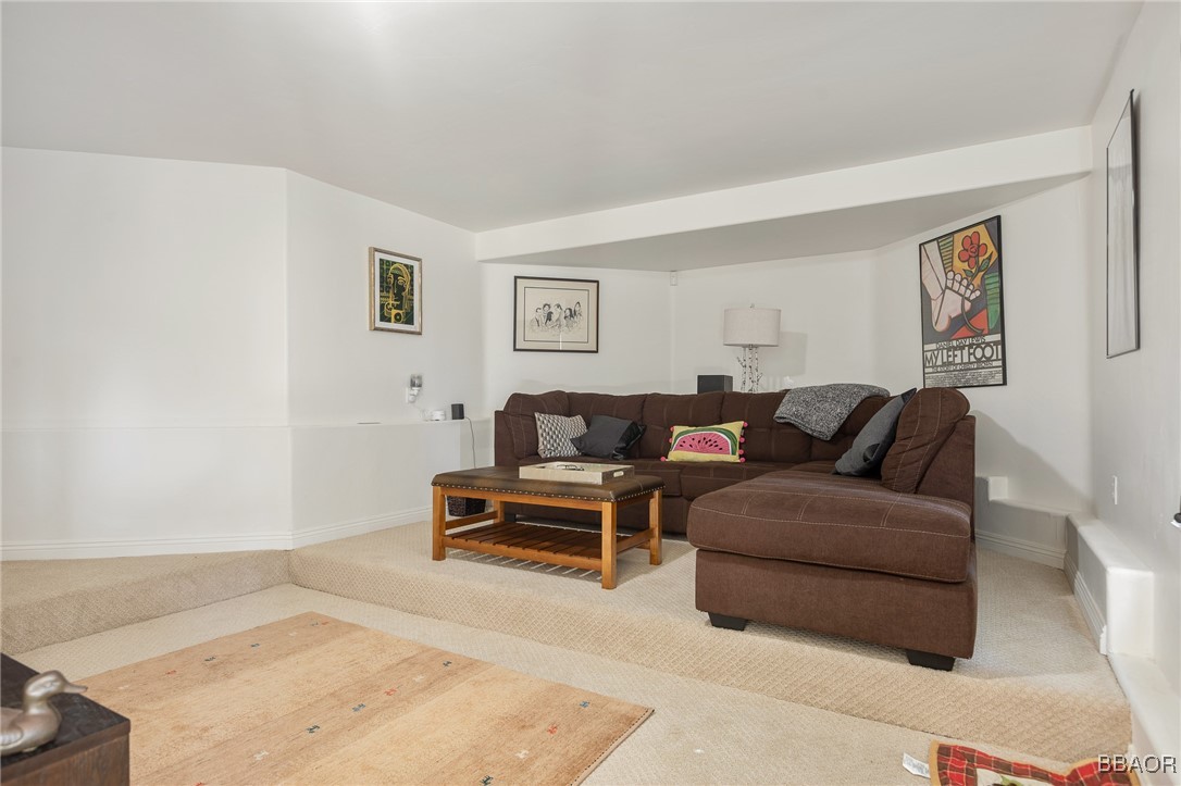 27431 Alpen Drive Property Photo 25