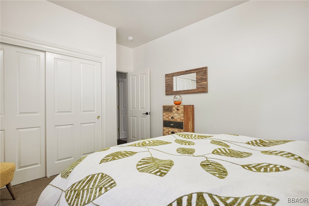 27431 Alpen Drive Property Photo 29