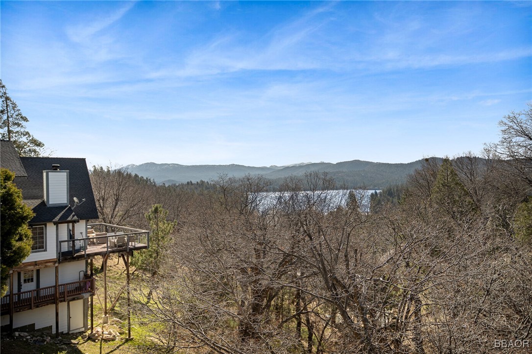 27431 Alpen Drive Property Photo 46