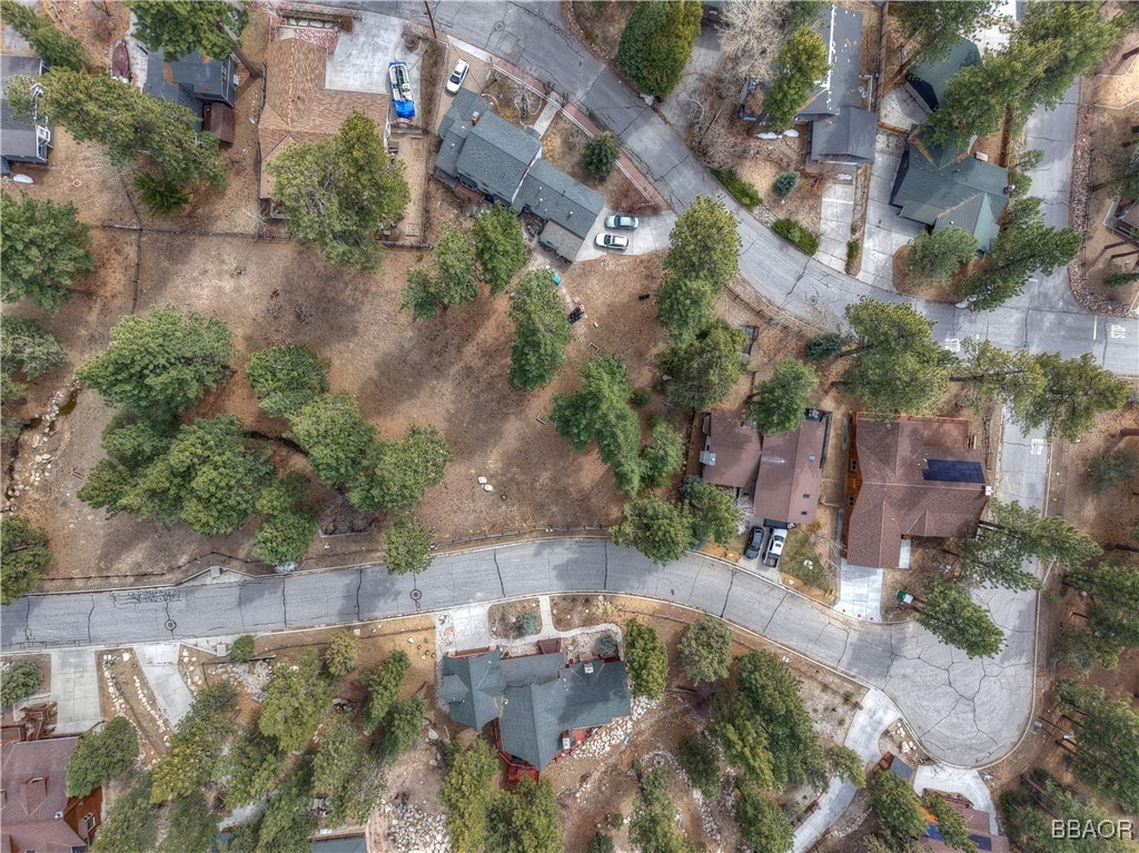 42569 Gold Rush Property Photo 4