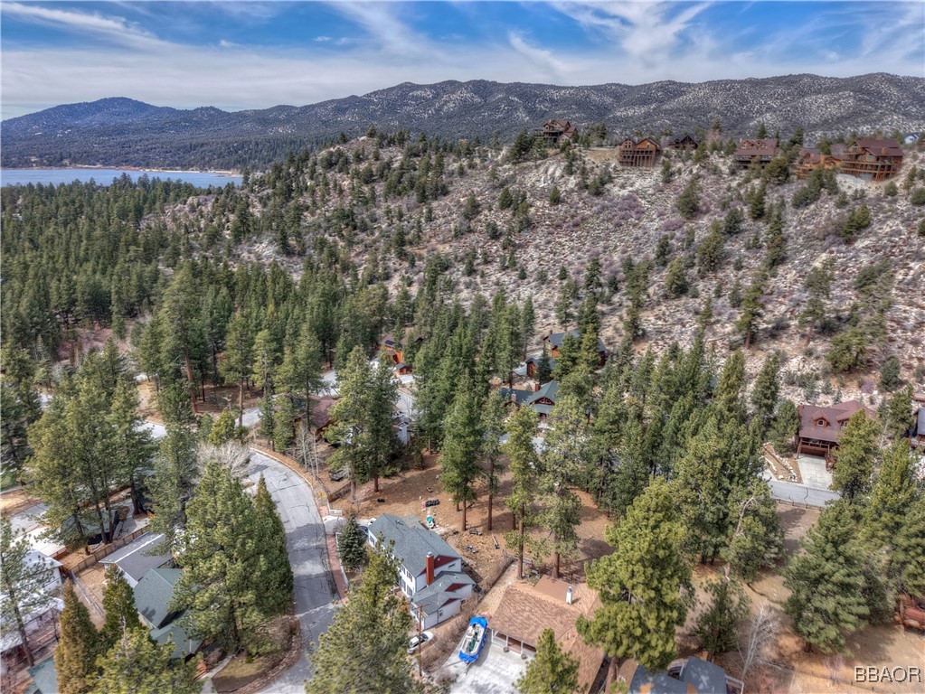 42569 Gold Rush Property Photo 9