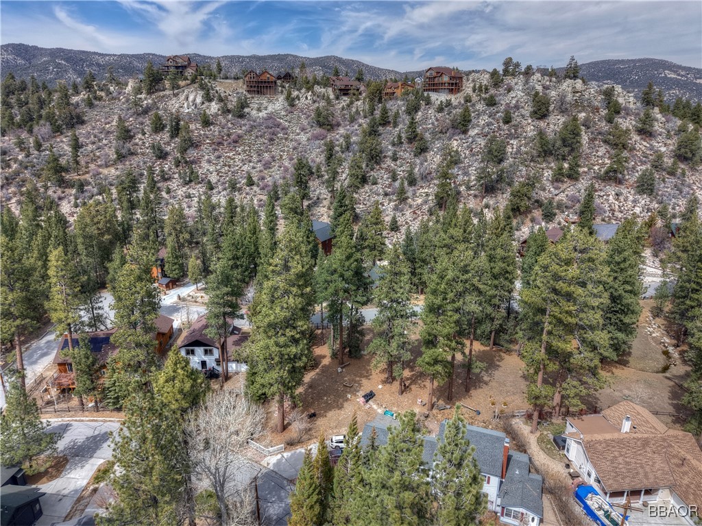 42569 Gold Rush Property Photo 10