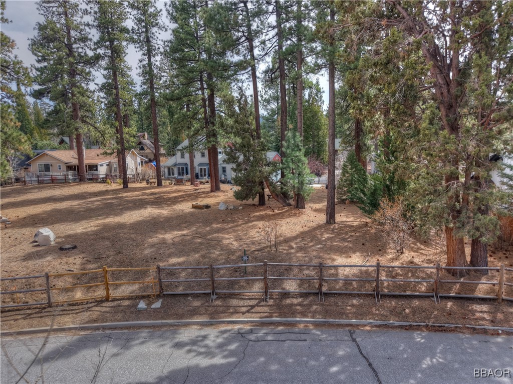 42569 Gold Rush Property Photo 12