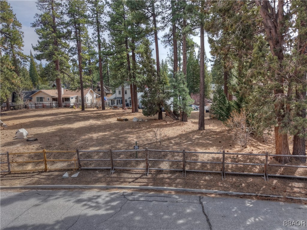 42569 Gold Rush Property Photo 13