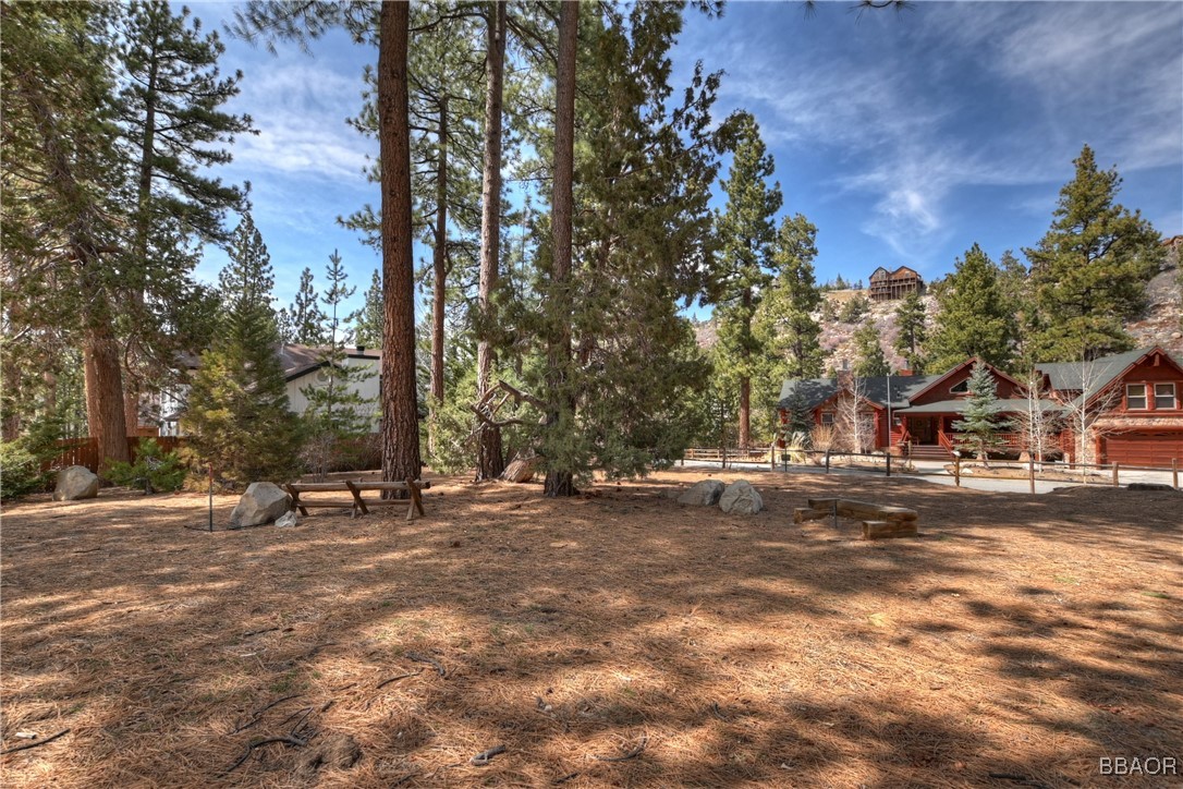 42569 Gold Rush Property Photo 15