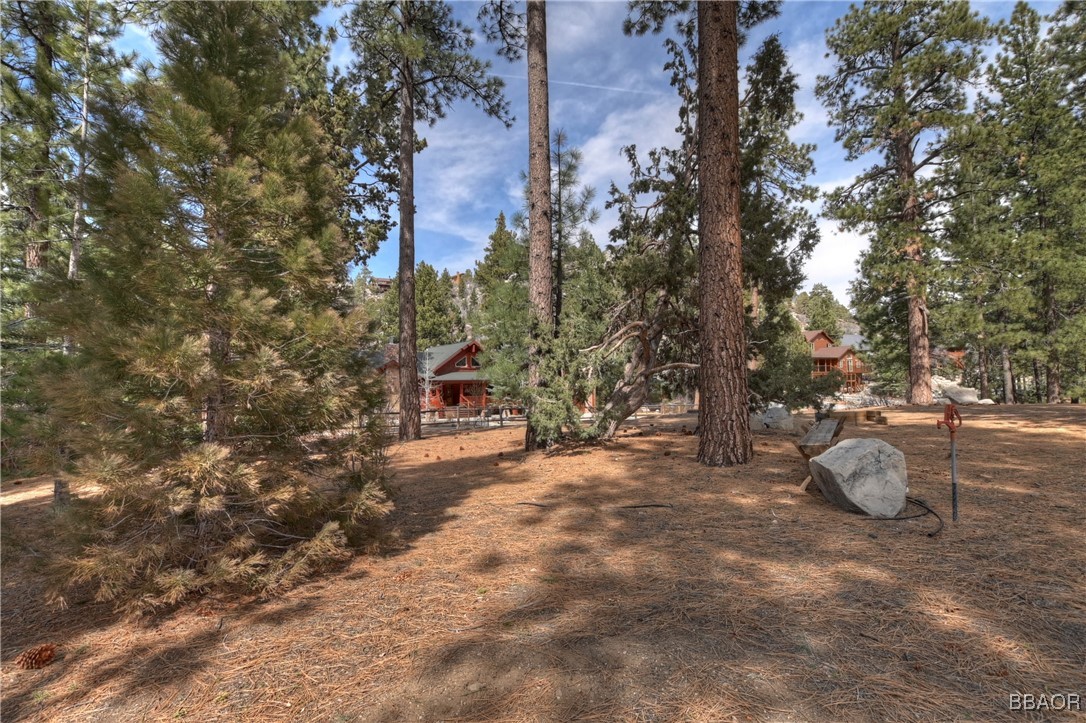 42569 Gold Rush Property Photo 16