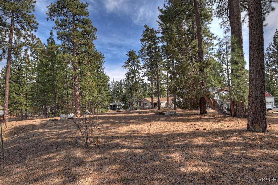42569 Gold Rush Property Photo 18