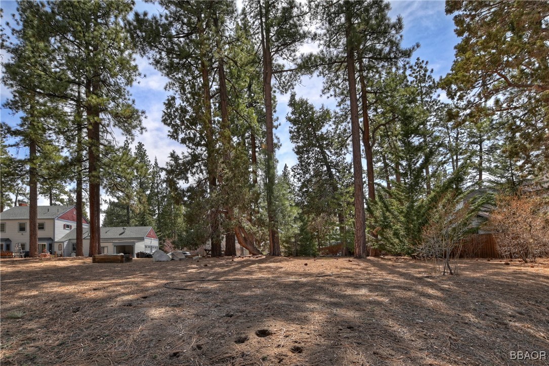 42569 Gold Rush Property Photo 19