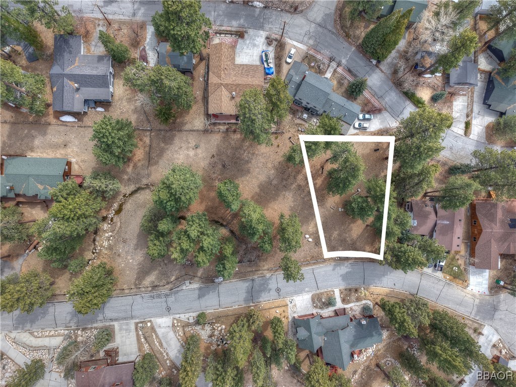 42543 Gold Rush Property Photo 2