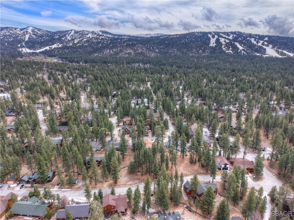 42543 Gold Rush Property Photo 4